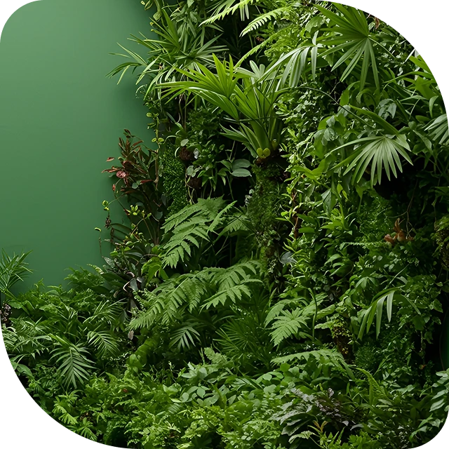 Vsa6N2SzuacceNyi